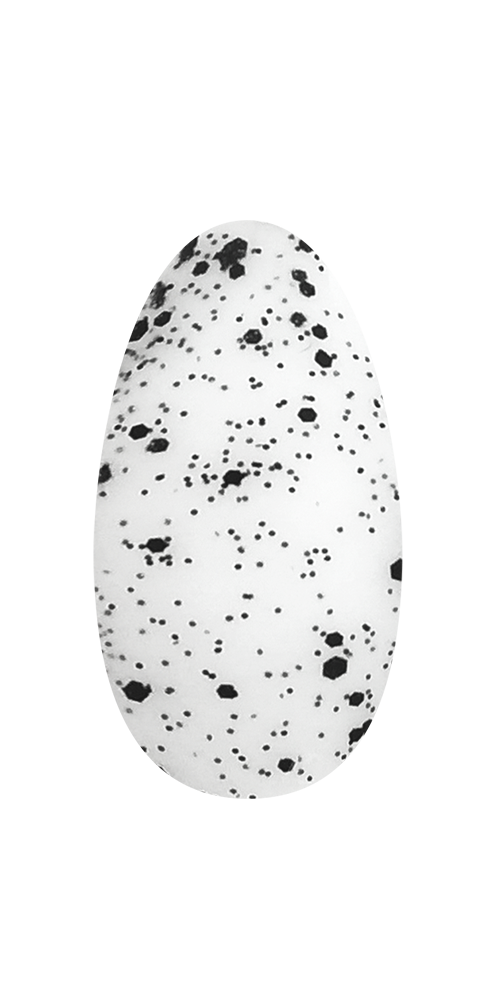 Egg Shell Matt